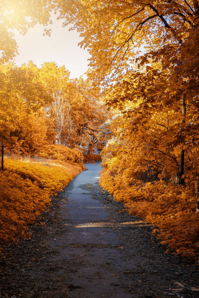 Fall In Alberta Doesn’t Mean FALL-ing Temperatures