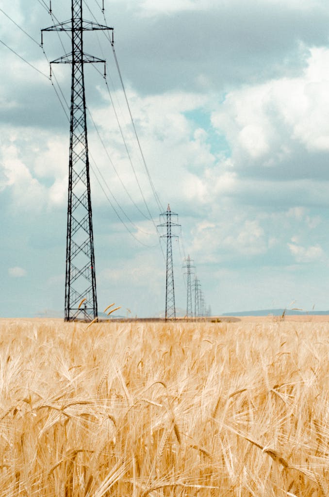 Alberta Welcomes Revised Federal Clean Energy Target but Will Continue Court Challenge