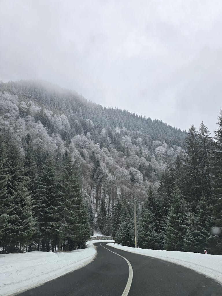 A serene winter scene of a winding road through a snowy forest and misty mountain.